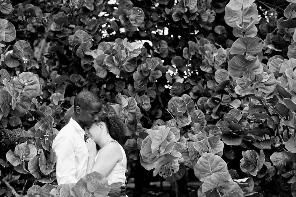 carribean trash the dress session 16