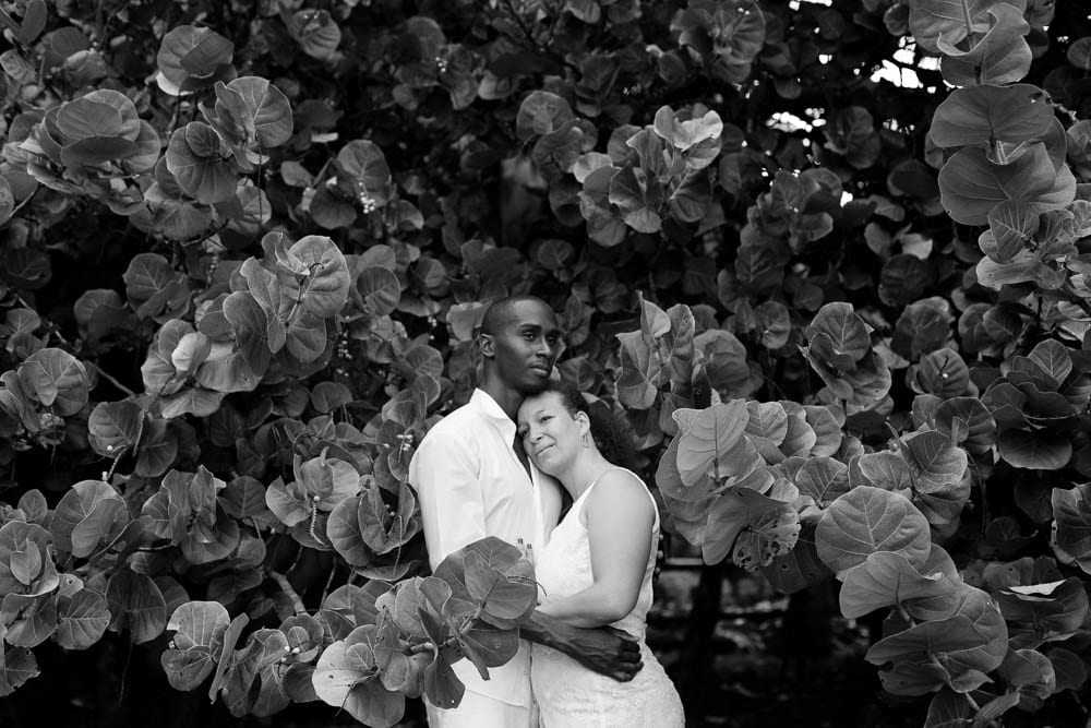 carribean trash the dress session 17