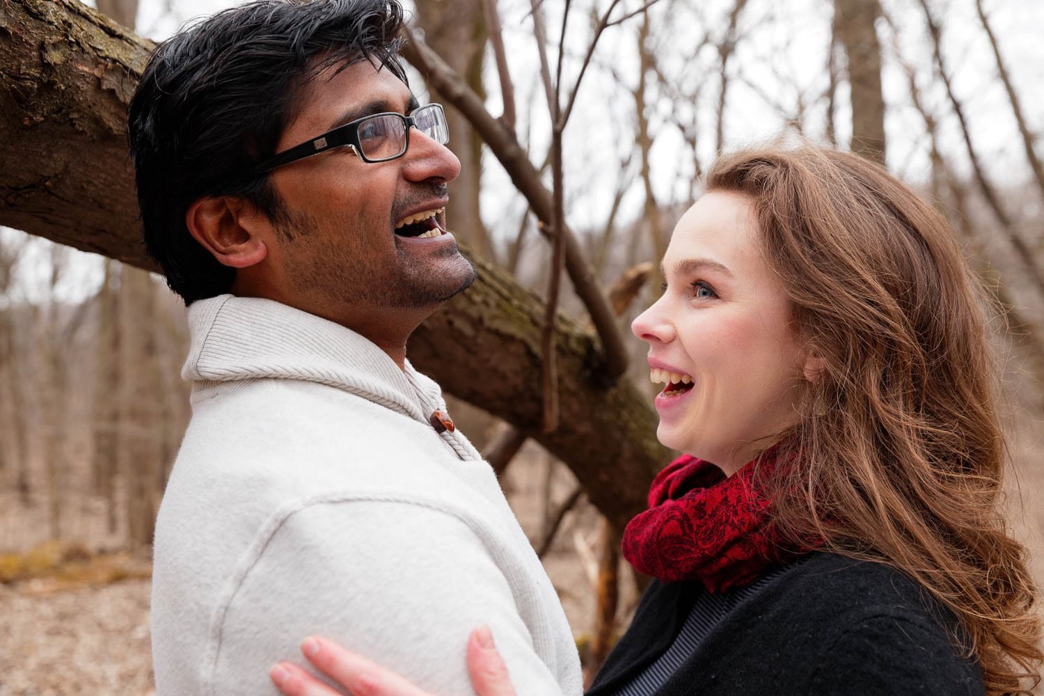 hidden falls engagement session