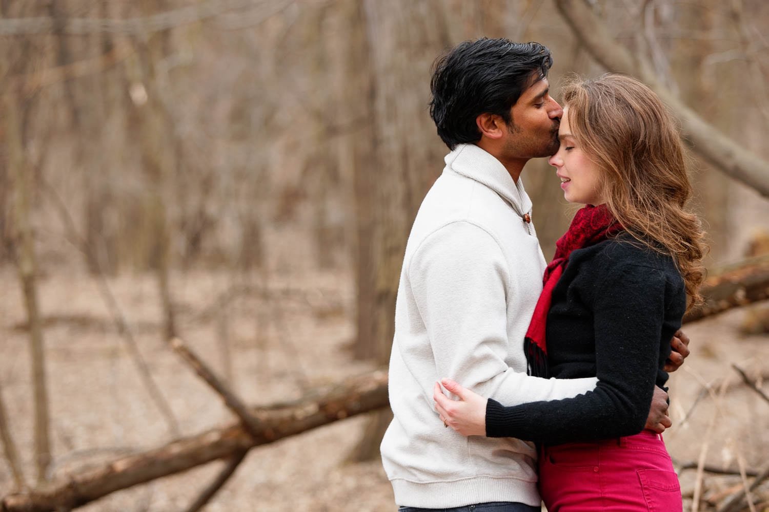 hidden falls engagement session