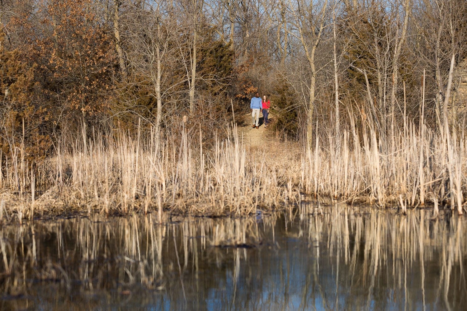 engagement session rochester mn