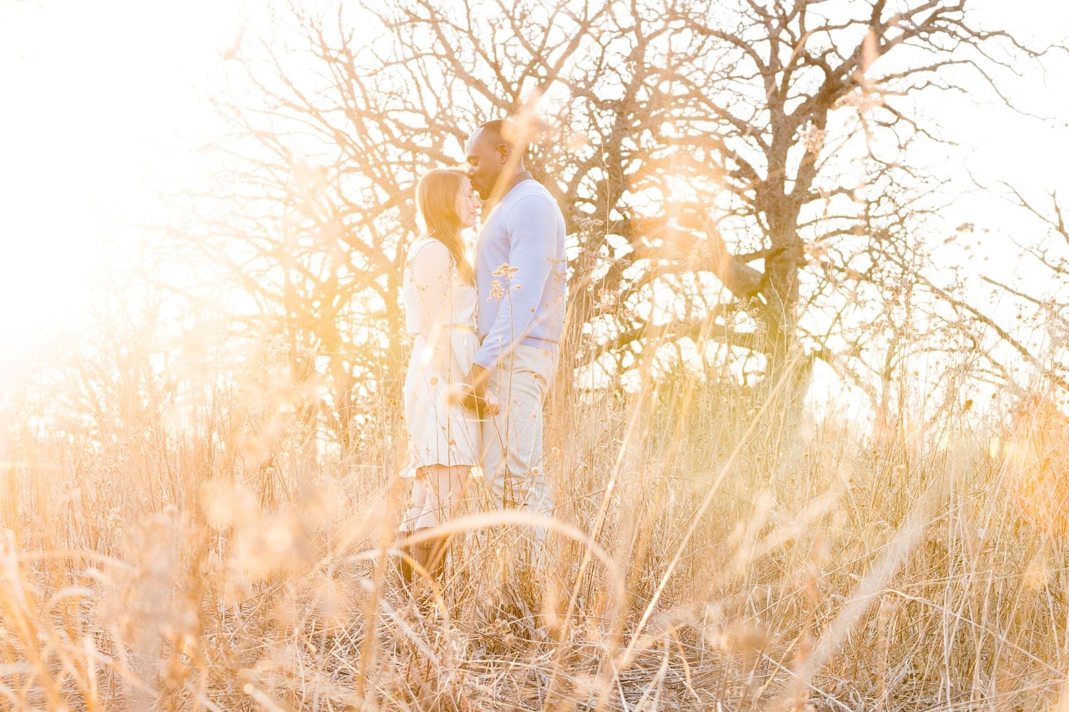 engagement session rochester mn