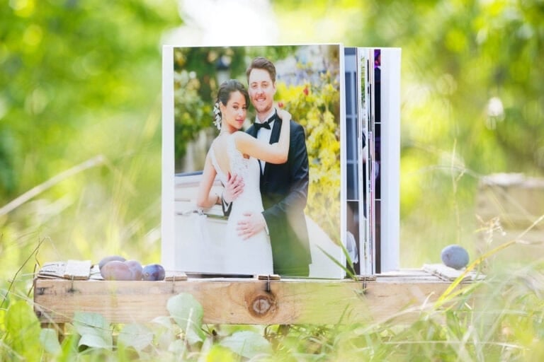 Plexi Wedding Album