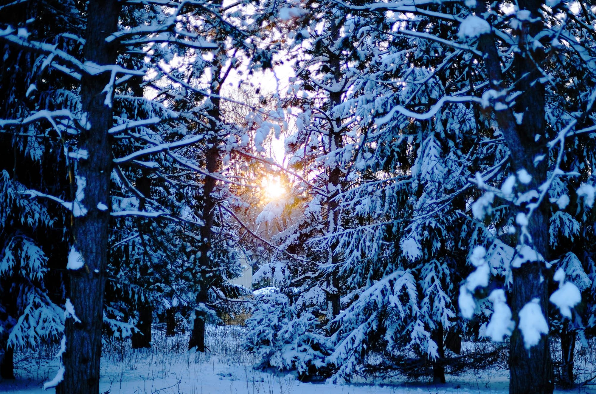 engagement session rochester mn snow