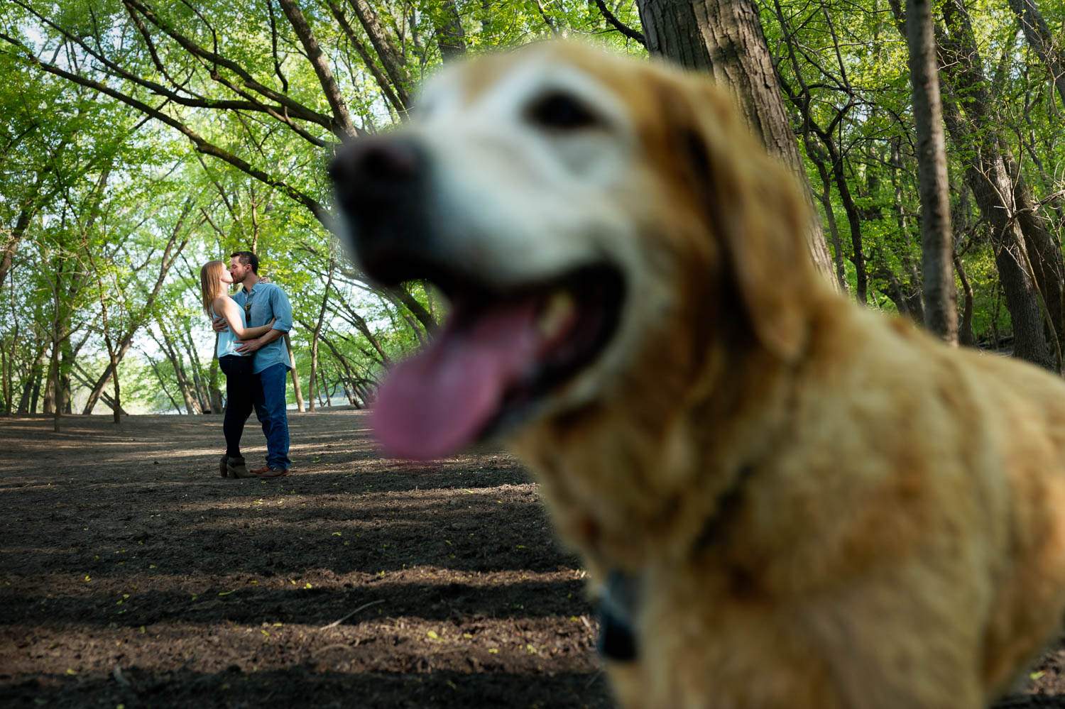 dog photo bombing engagement session in off leash dog park