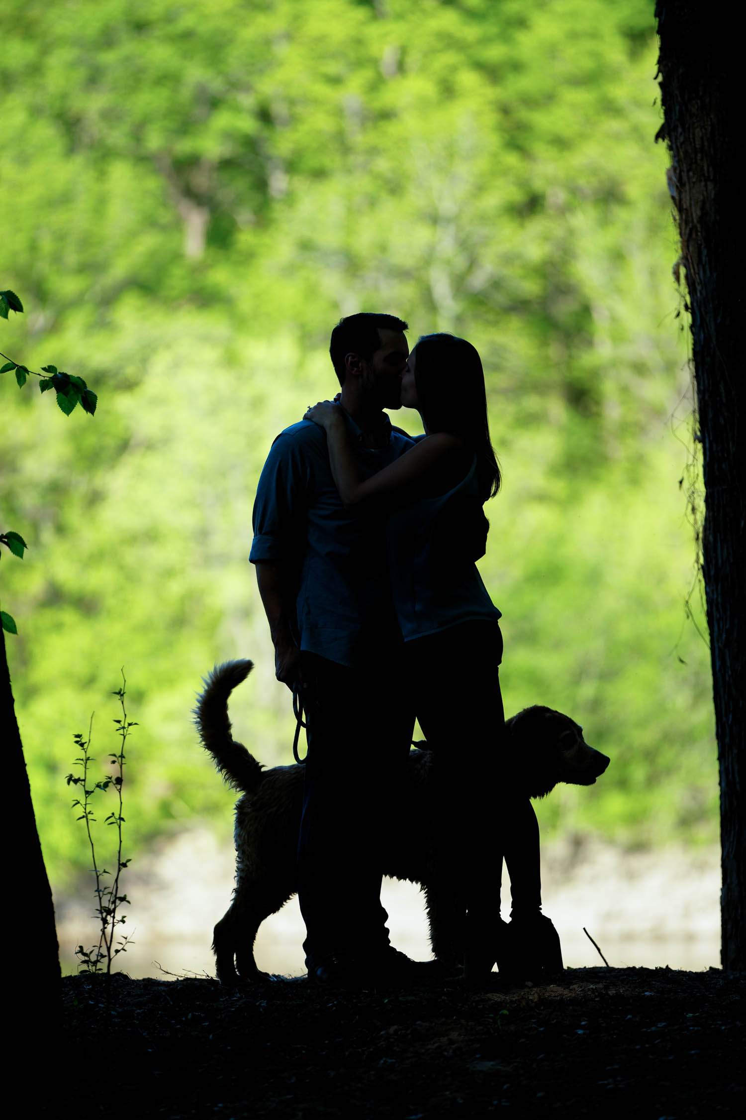 silhouette couple and dog in city park