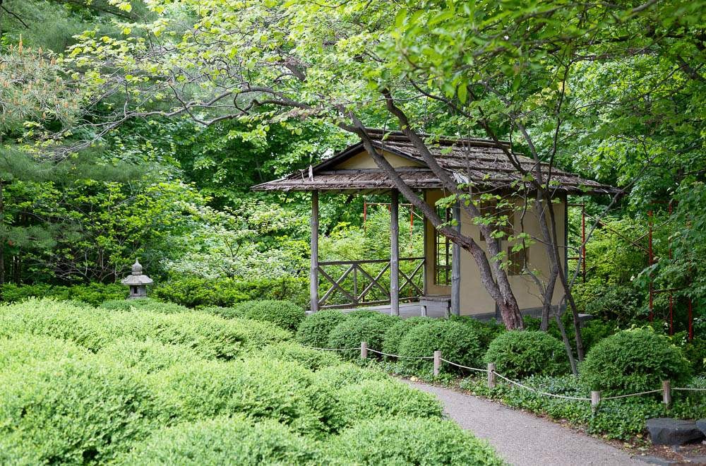 — Japanese garden for a small ceremony —