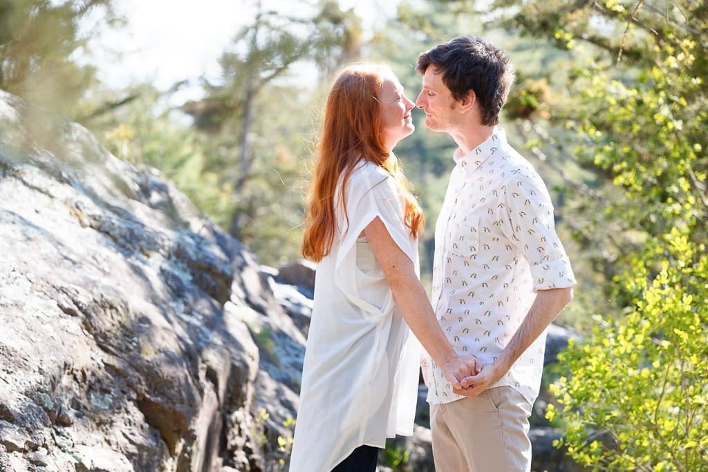 taylor falls engagement