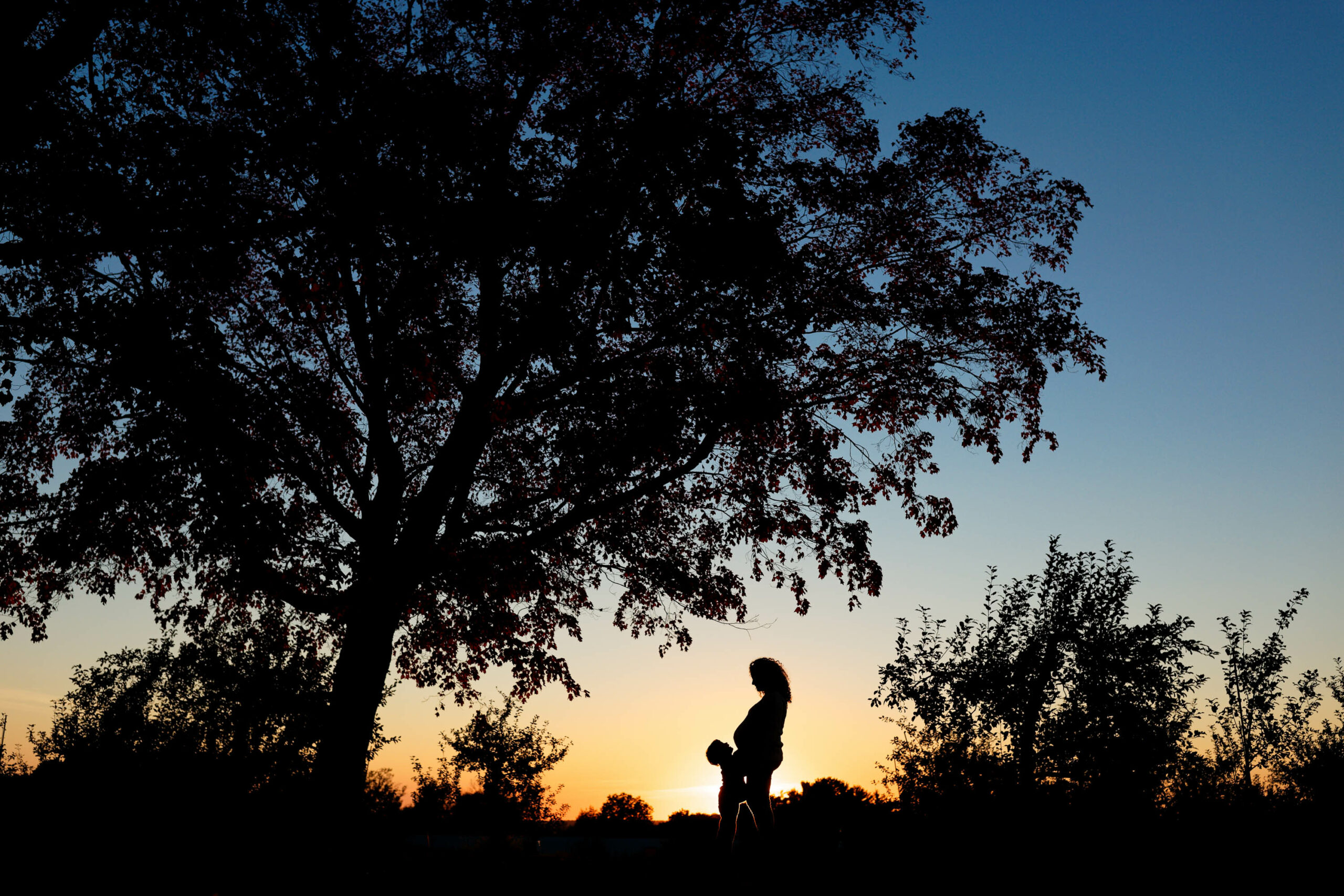 Silhouette of a person holding a child up in the air under a large tree at Sekapp Orchard, Rochester MN, against a vibrant sunset sky. The outline of the branches and the figures are stark against the warm colors of the dusk horizon.