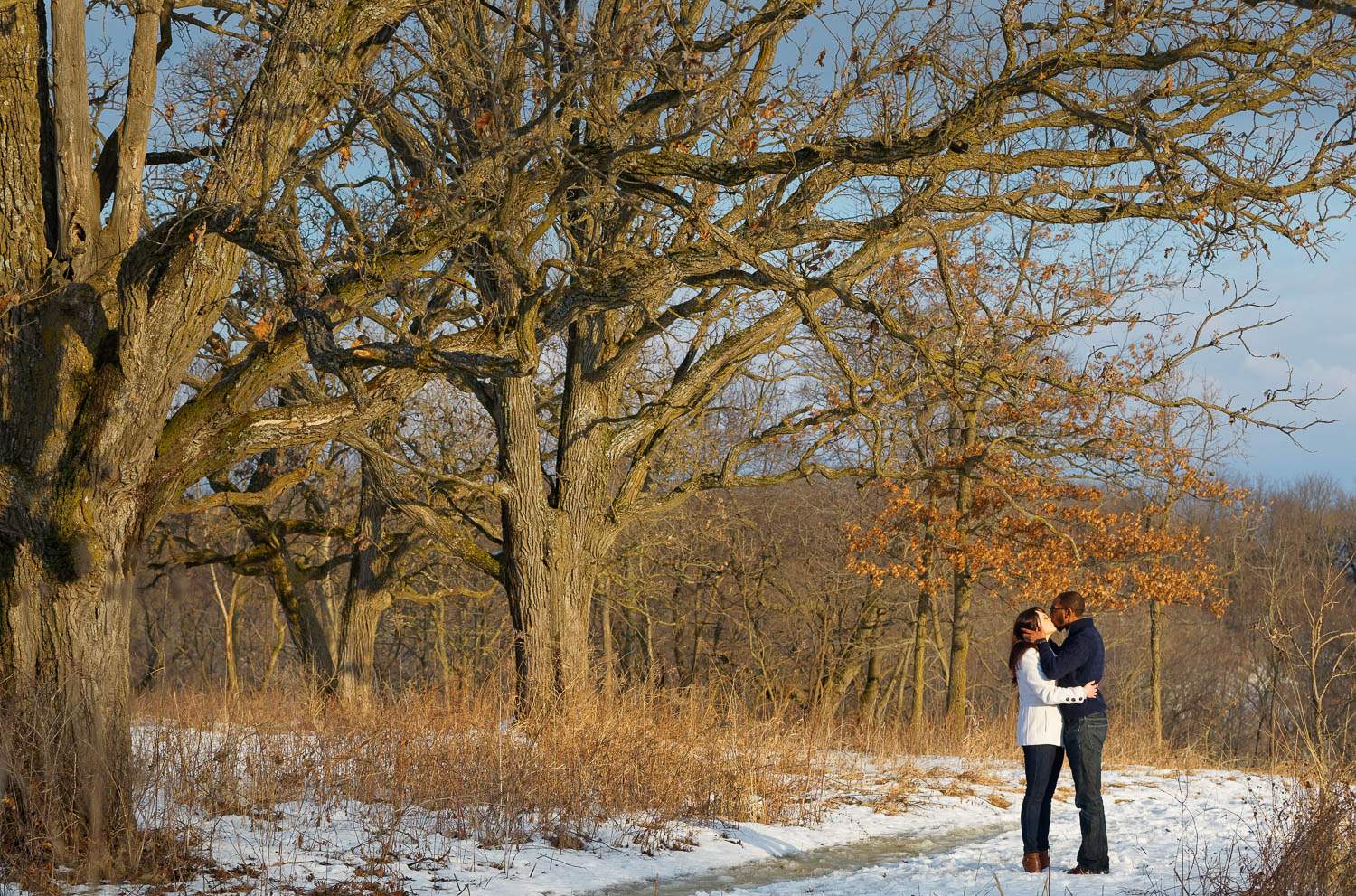 winter oaks at quarry hills rochester