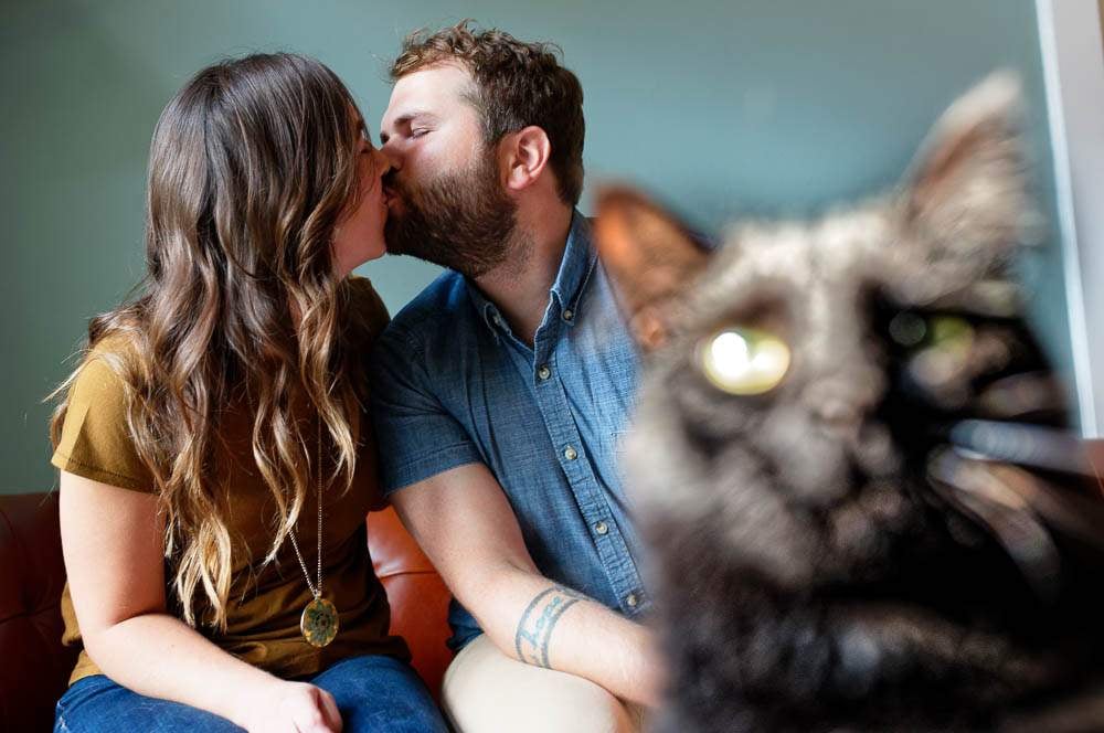cat photo bombing cat photo bombing
