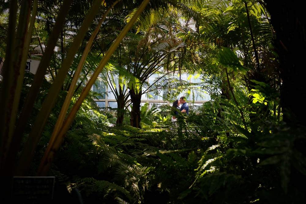 — Engagement photos with Plant and Flowers at St paul zoo and conservatory —