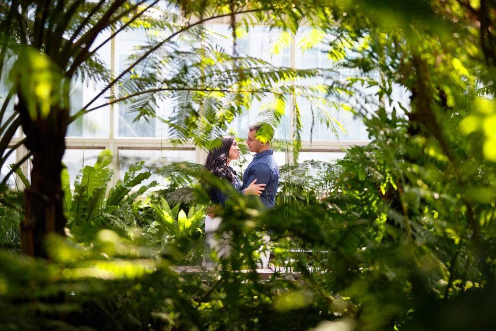 — Photograph of a Couple Kissing troug exotic plants —