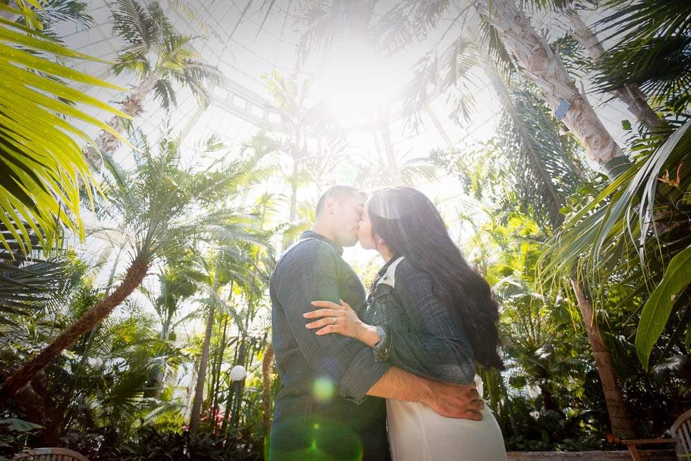 — two lovers kissing with horticulture and sun —