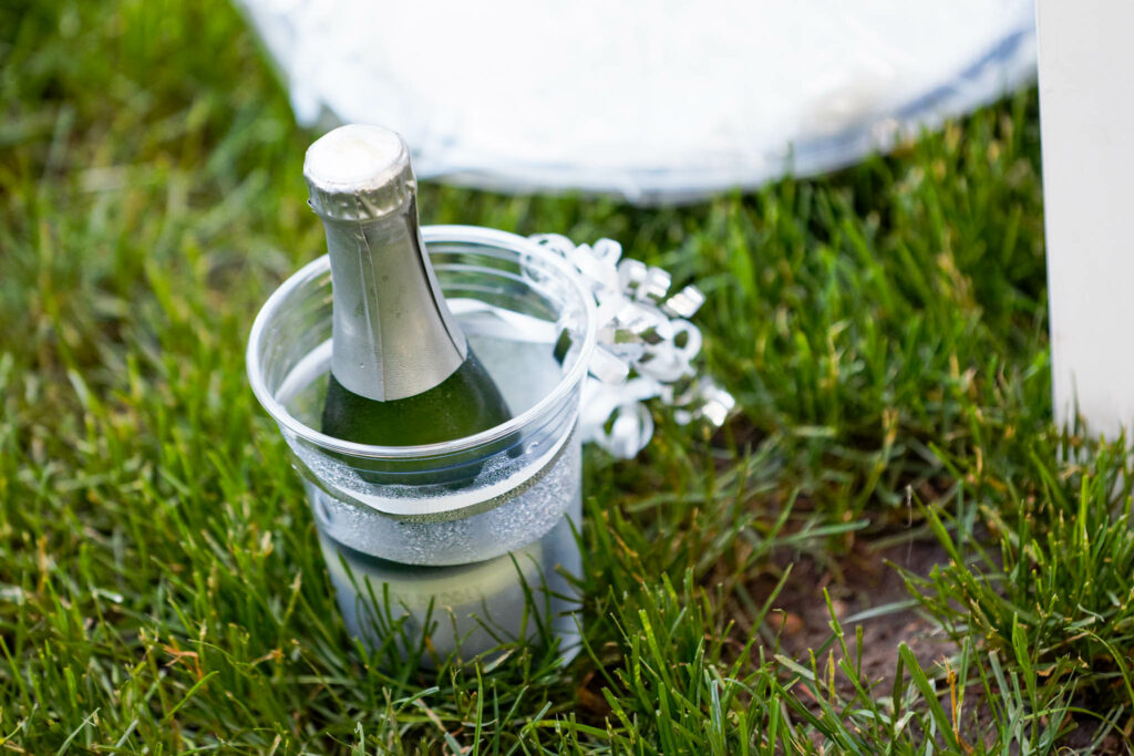 Bottle of champagne and bucket