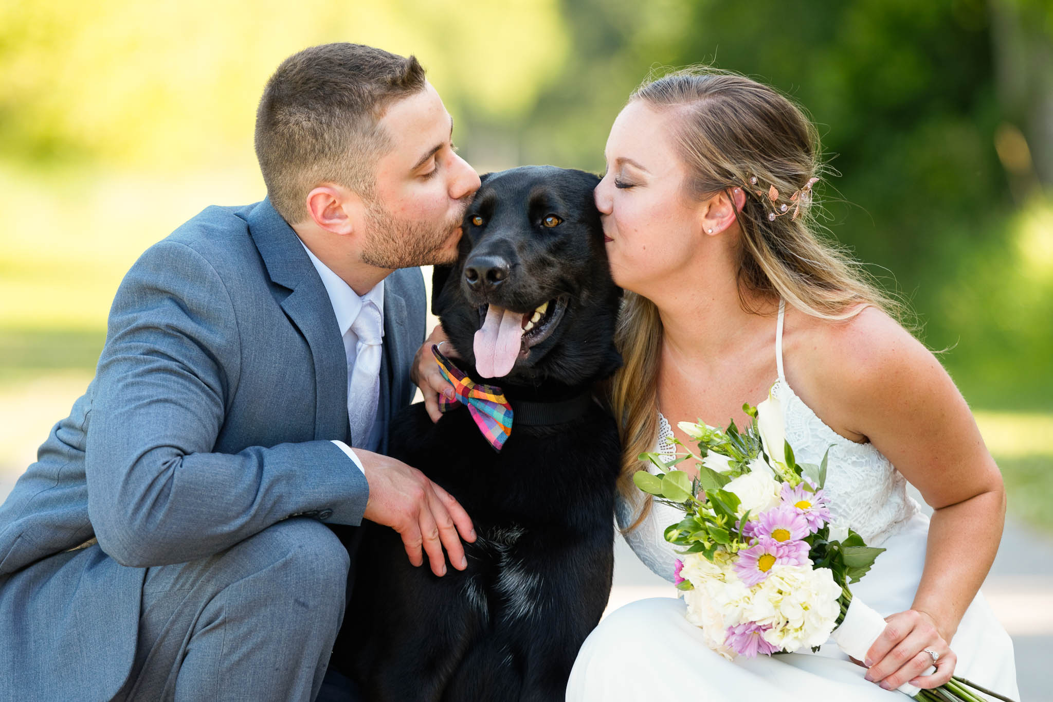 bride and groom kissing dog