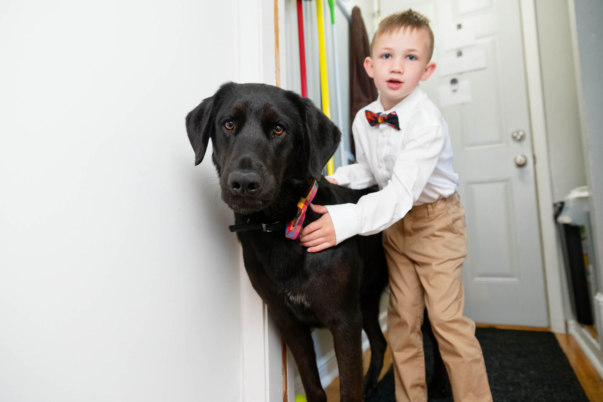 dog and ring baerer during preparation