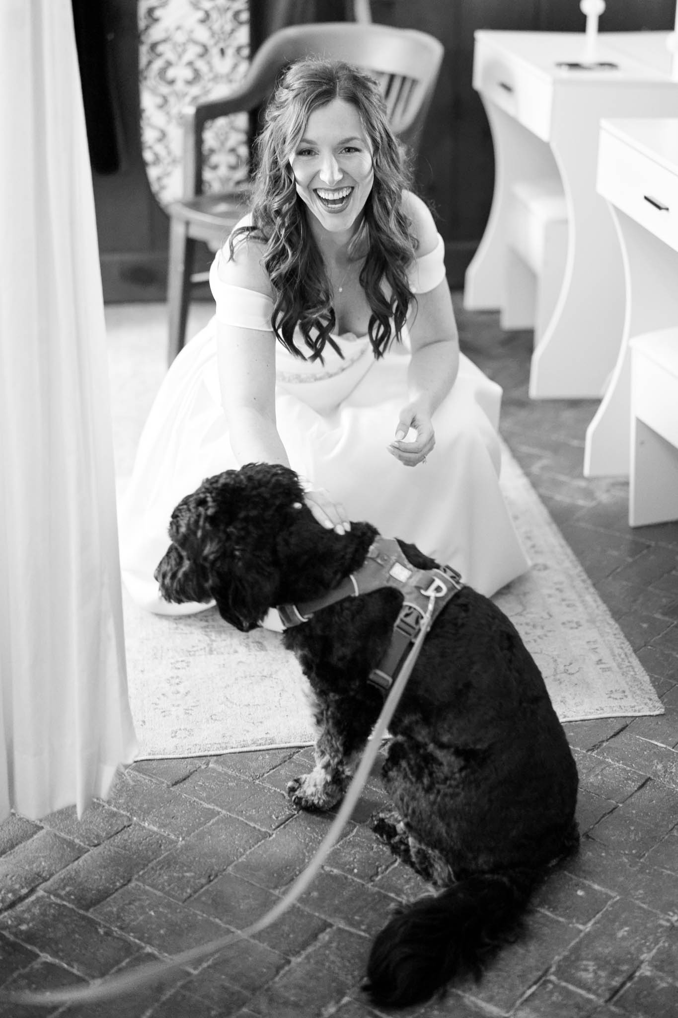first look bride and her dog