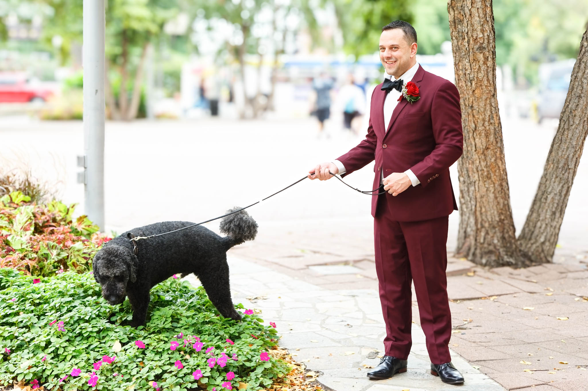 groom and dog peing