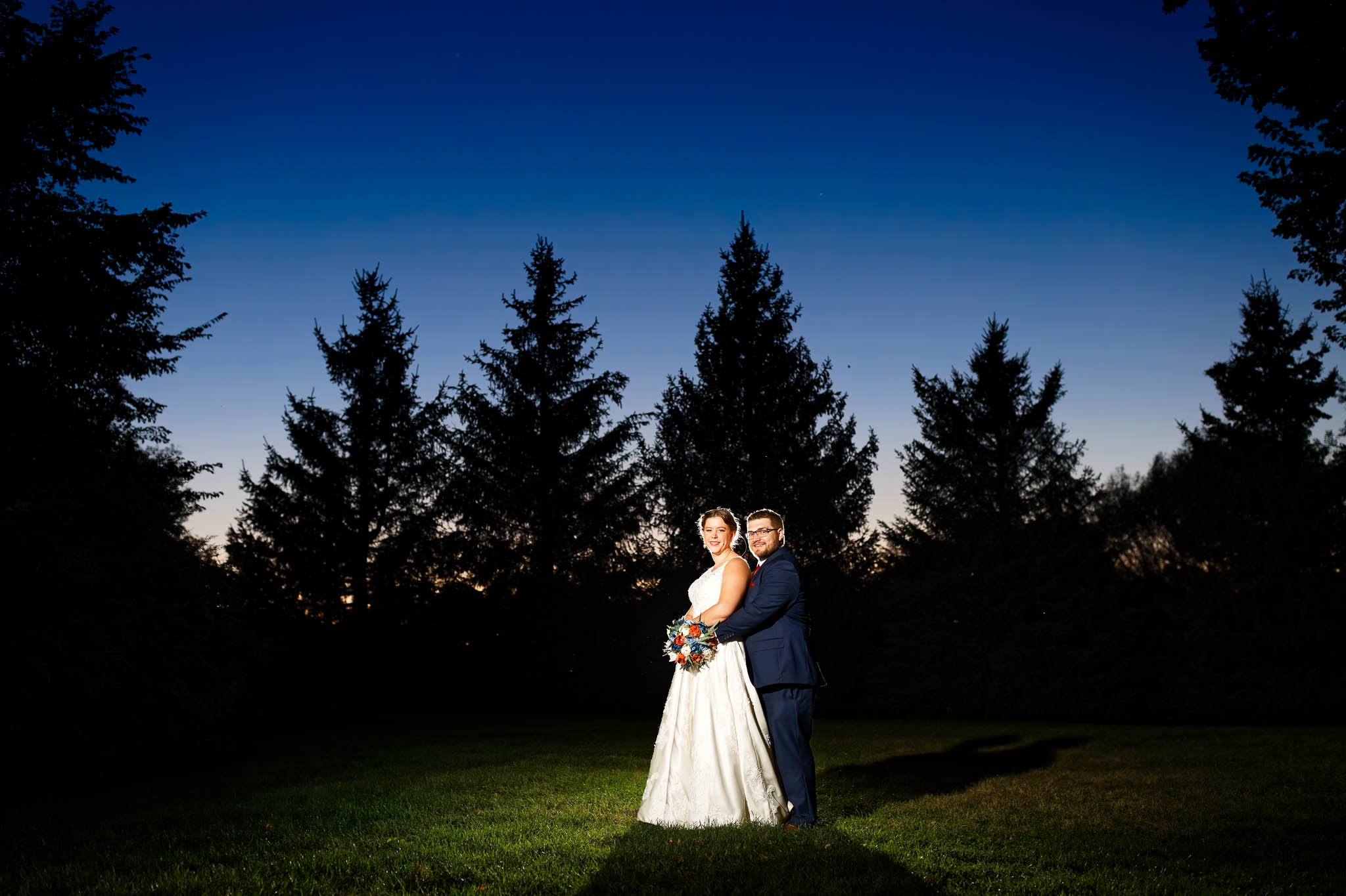 blue hour photos with silhouette of pine trees