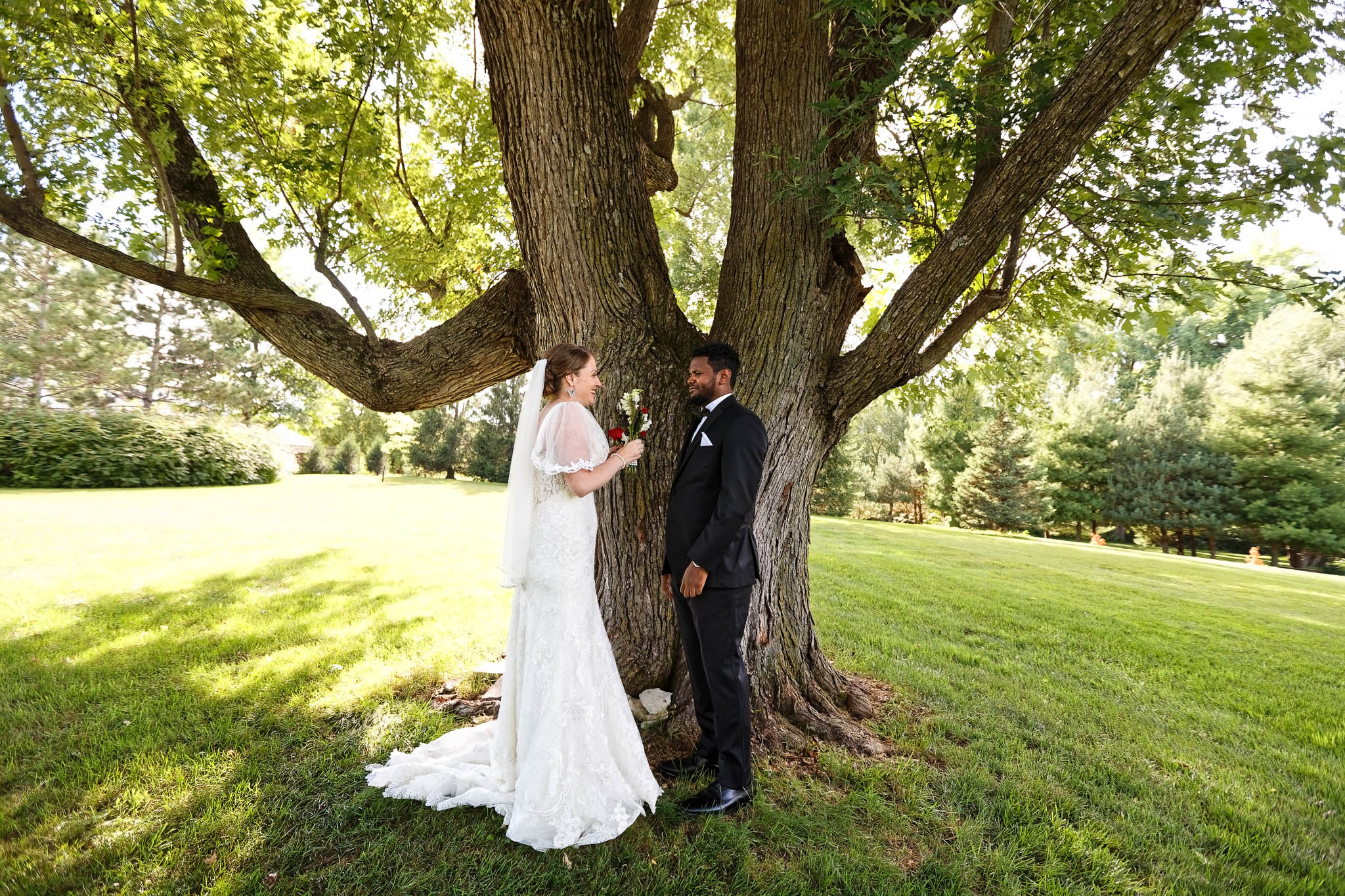 first look under the big tree
