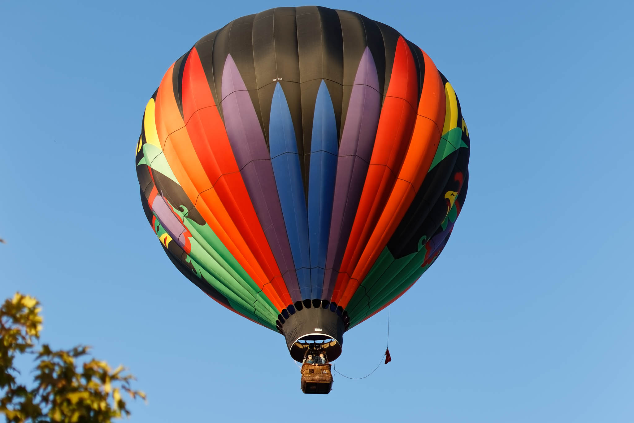 Hot Air Ballon