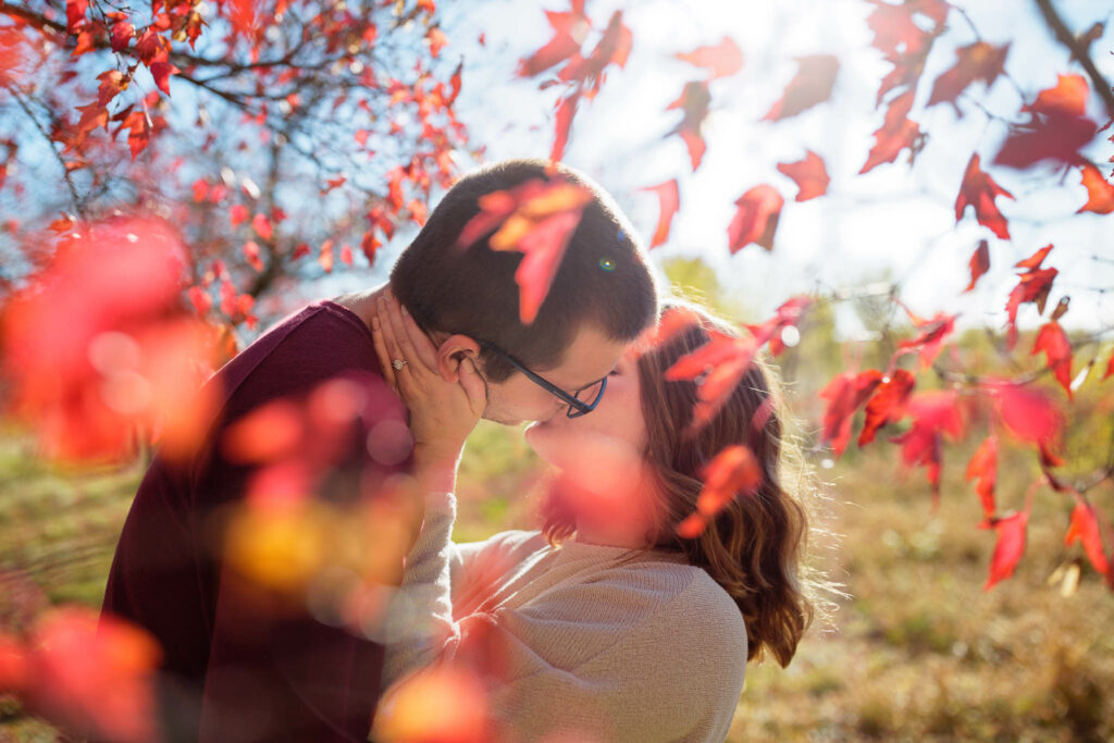 Engagement session photo at Woodside Park previously IBM Park Rochester
