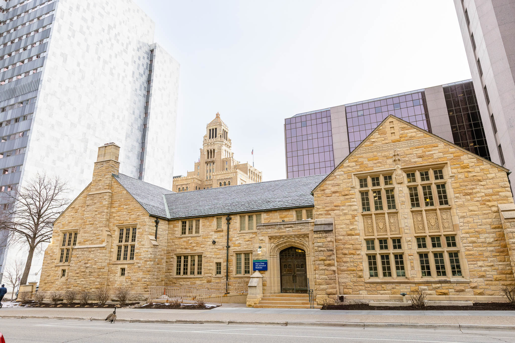 Mayo Clinic Alix school of medicine
