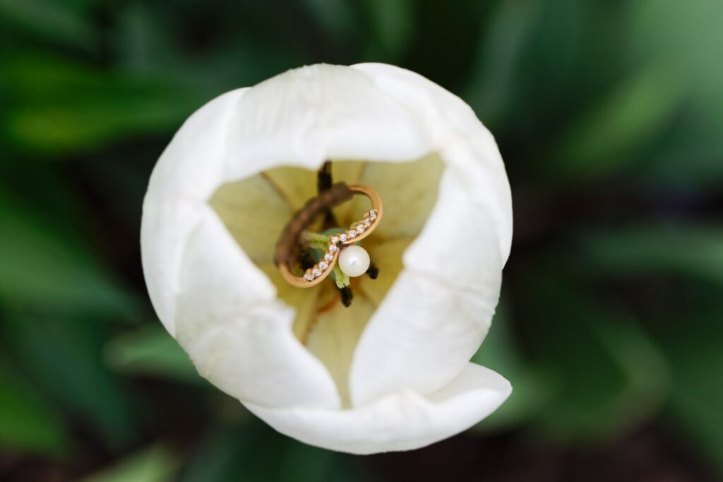 Engagement ring inside white tulip