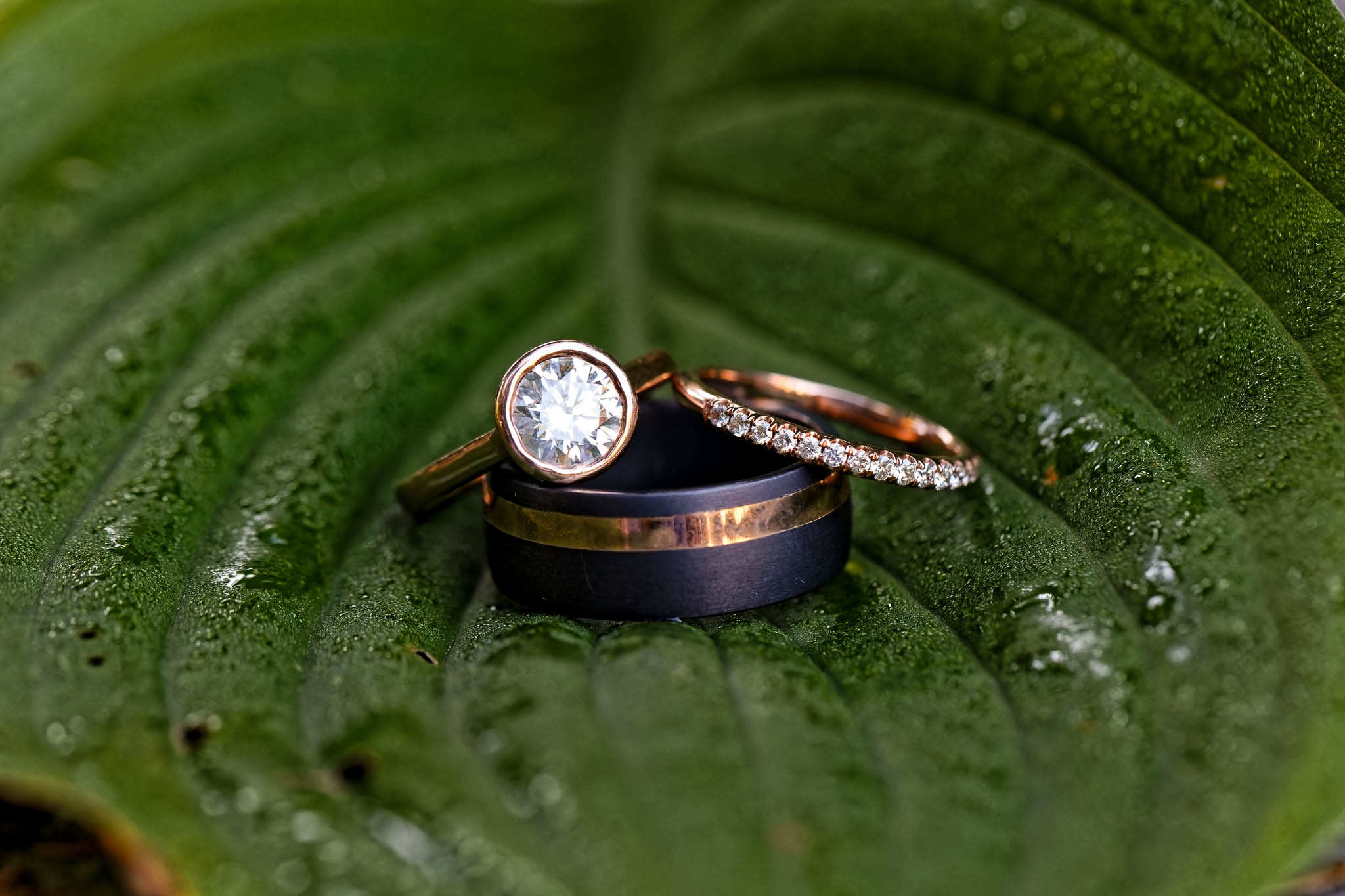 detail picture of wedding rings on leaf