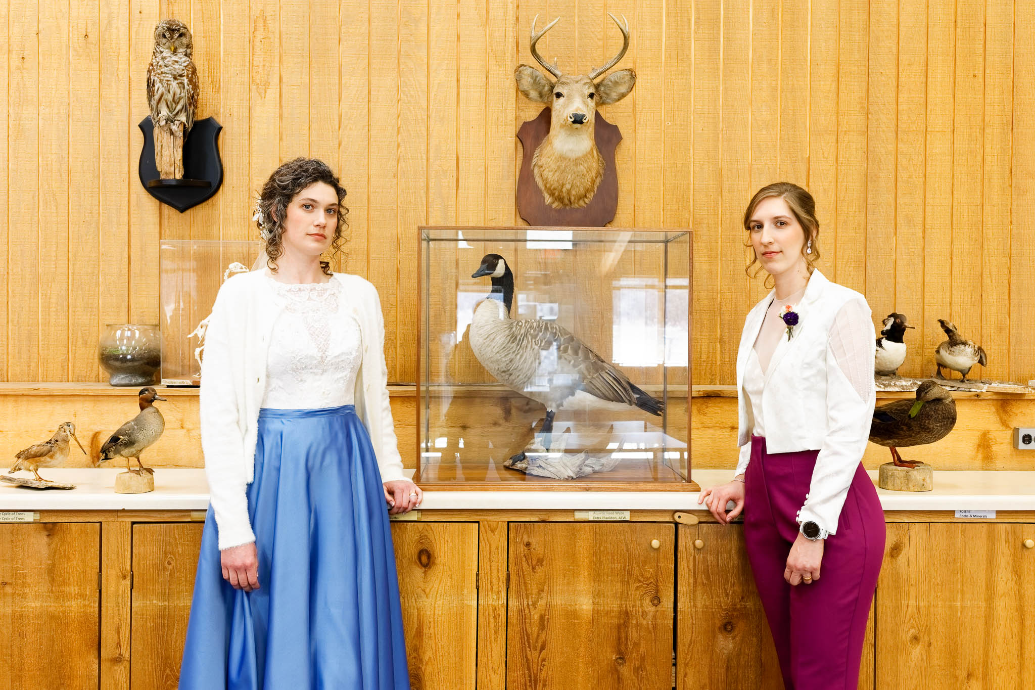newly married couple and taxidermy animals