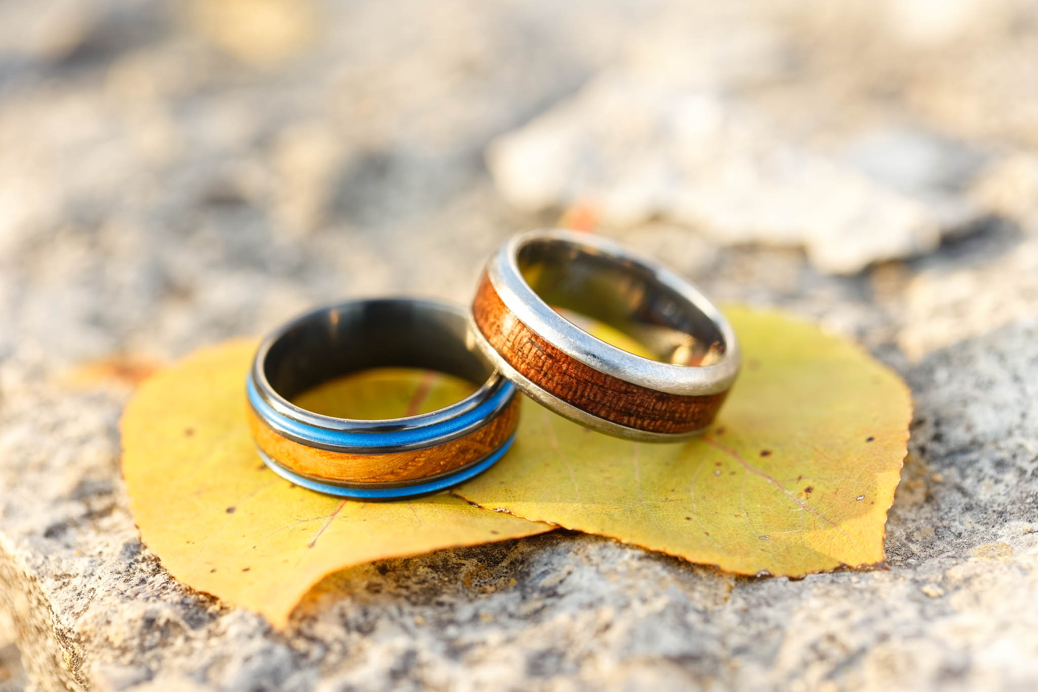 same sex gay wedding rings