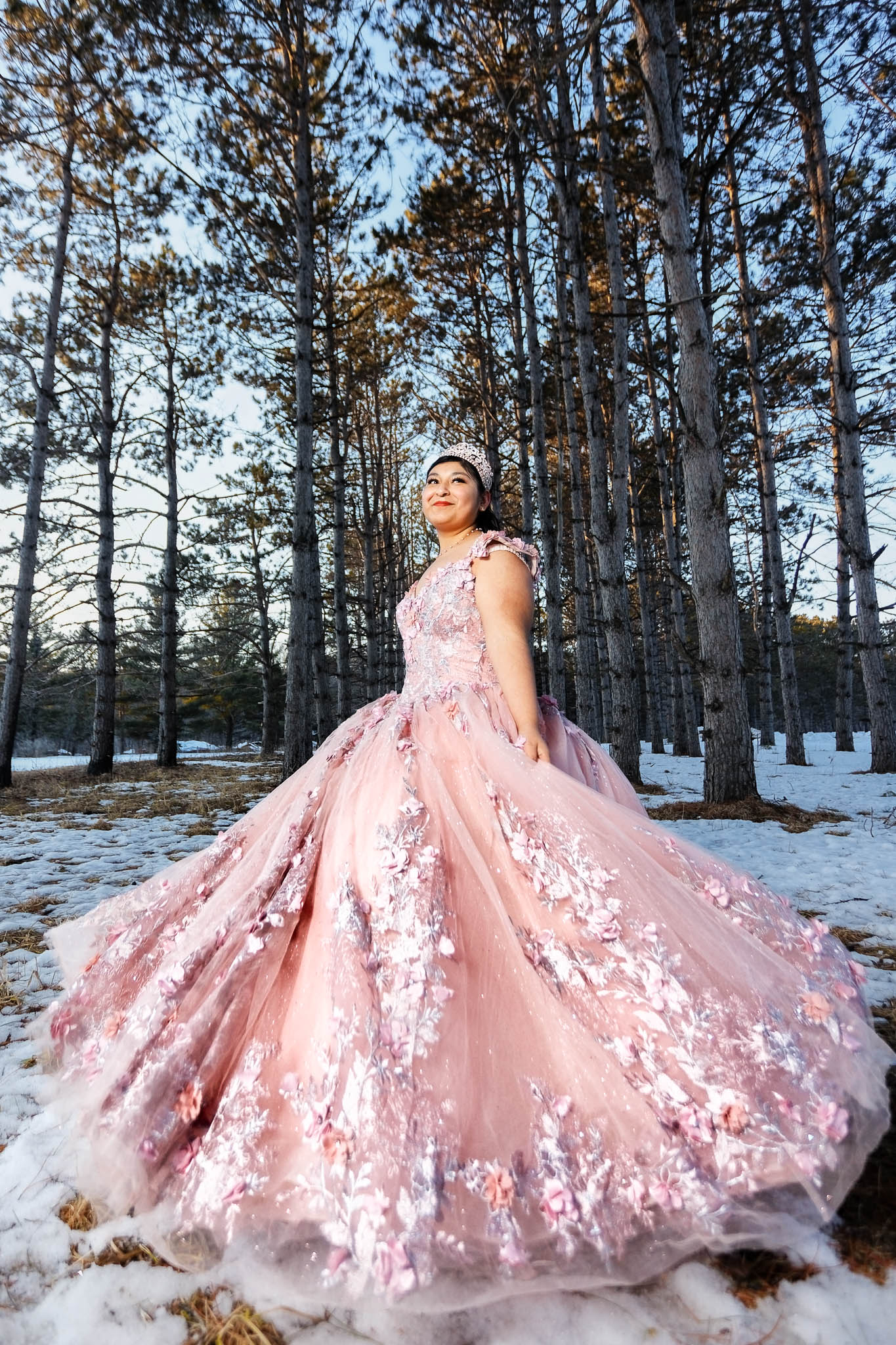 winter quinceanera photography rochesster mn