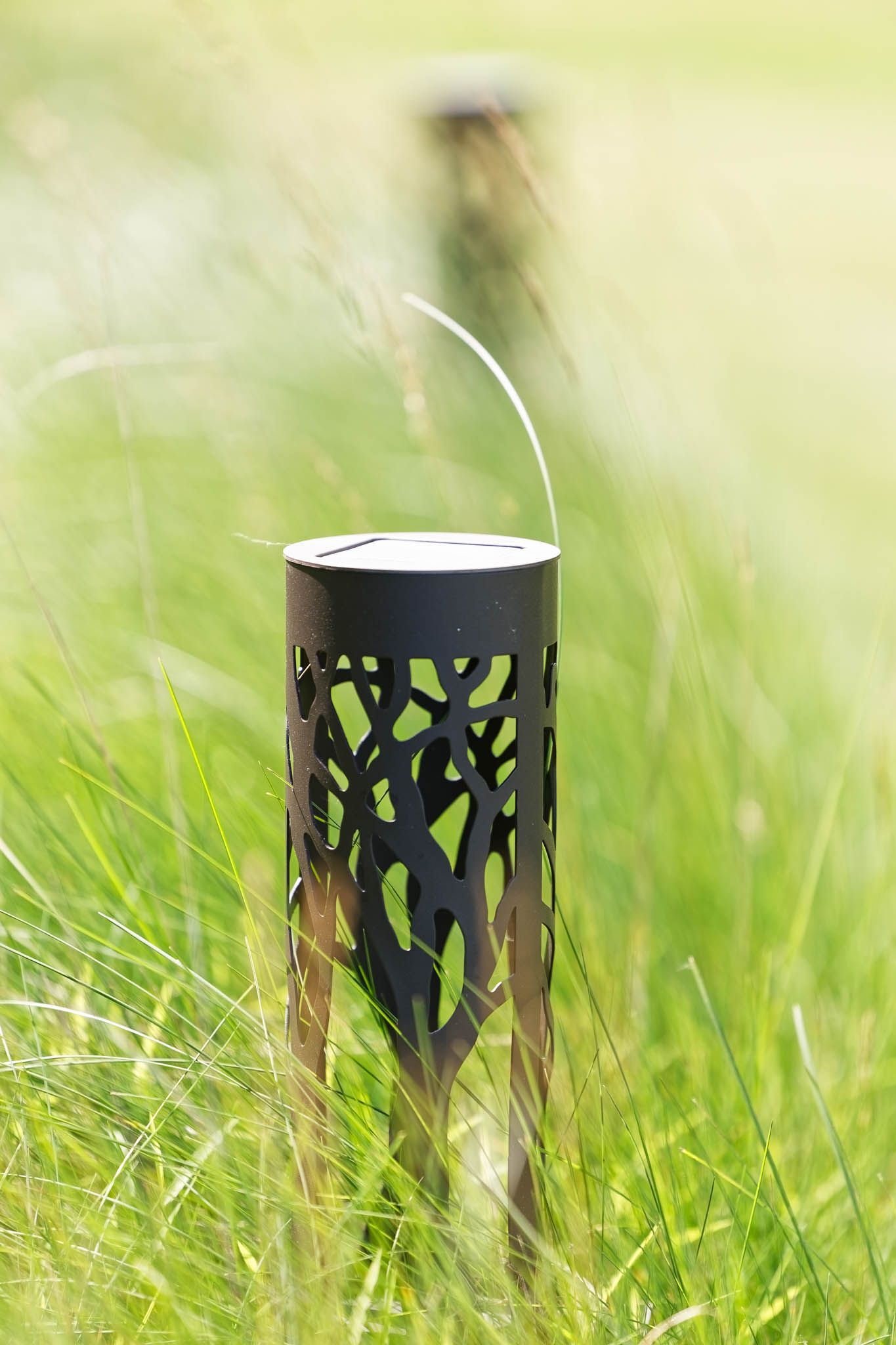 fairy lamp in grass