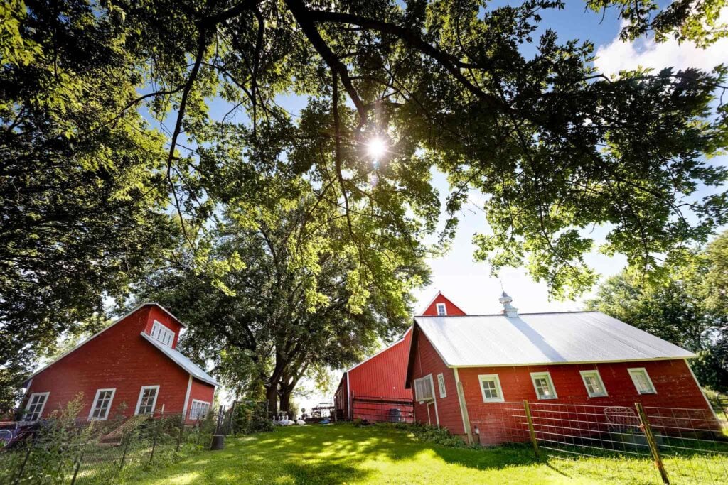 squash-blossom-farm-31