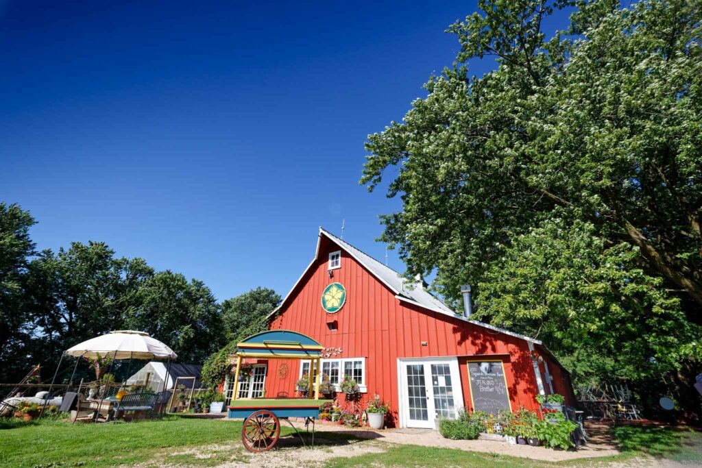 Squash Blossom Farm-9