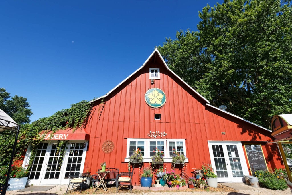 squash blossom farm-3