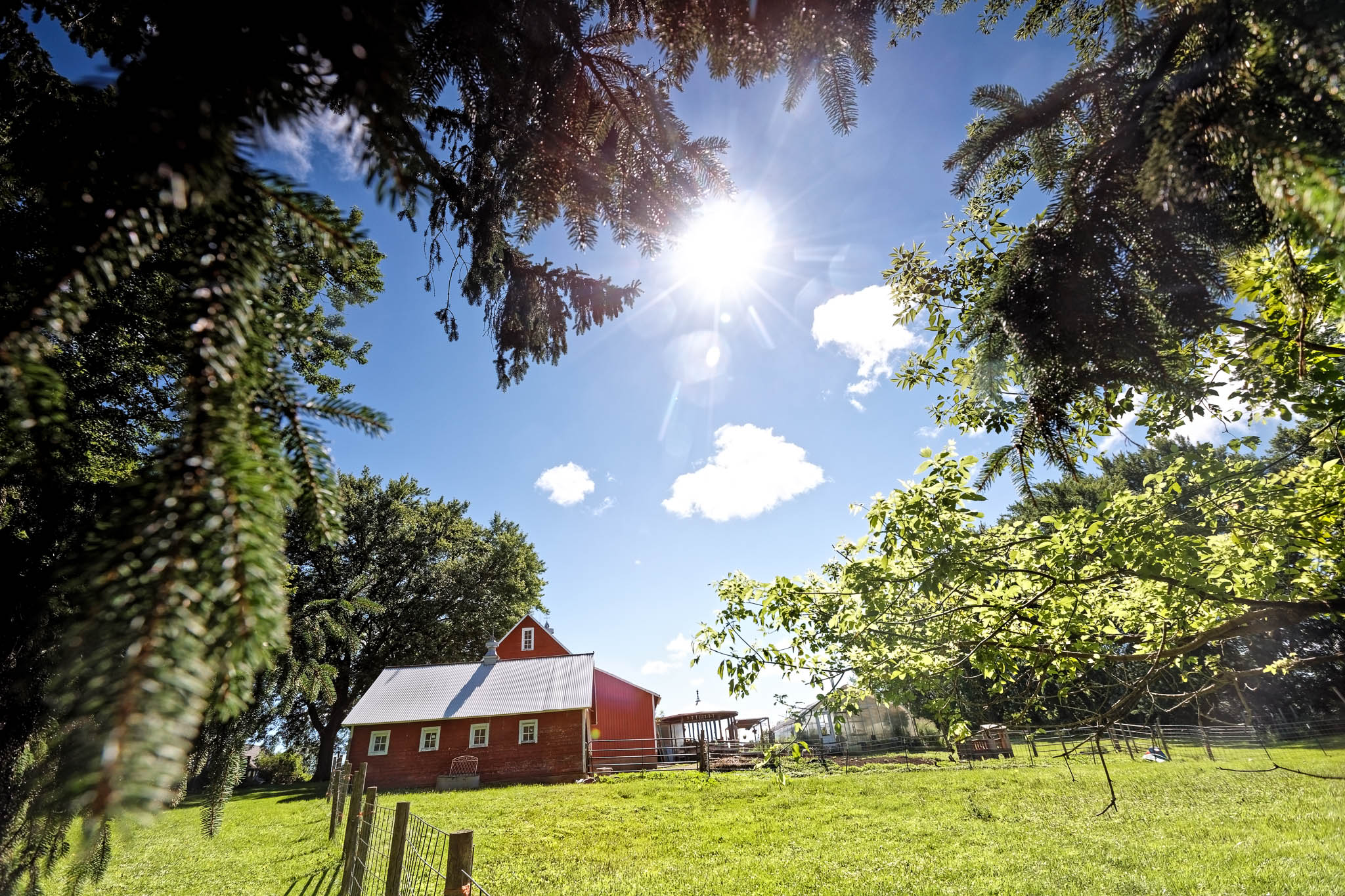 squash blossom farm-33