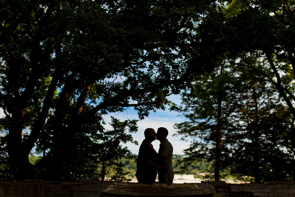 the trees at plummer hosue silhouette
