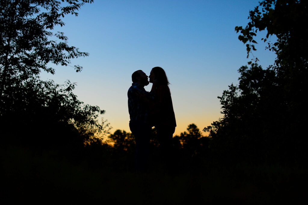 Creative, silhouette picture during blue hour