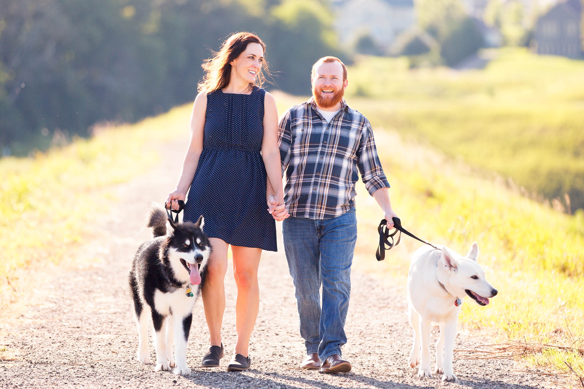 Place to take engagement session with Dogs in Rochester, Minnesota