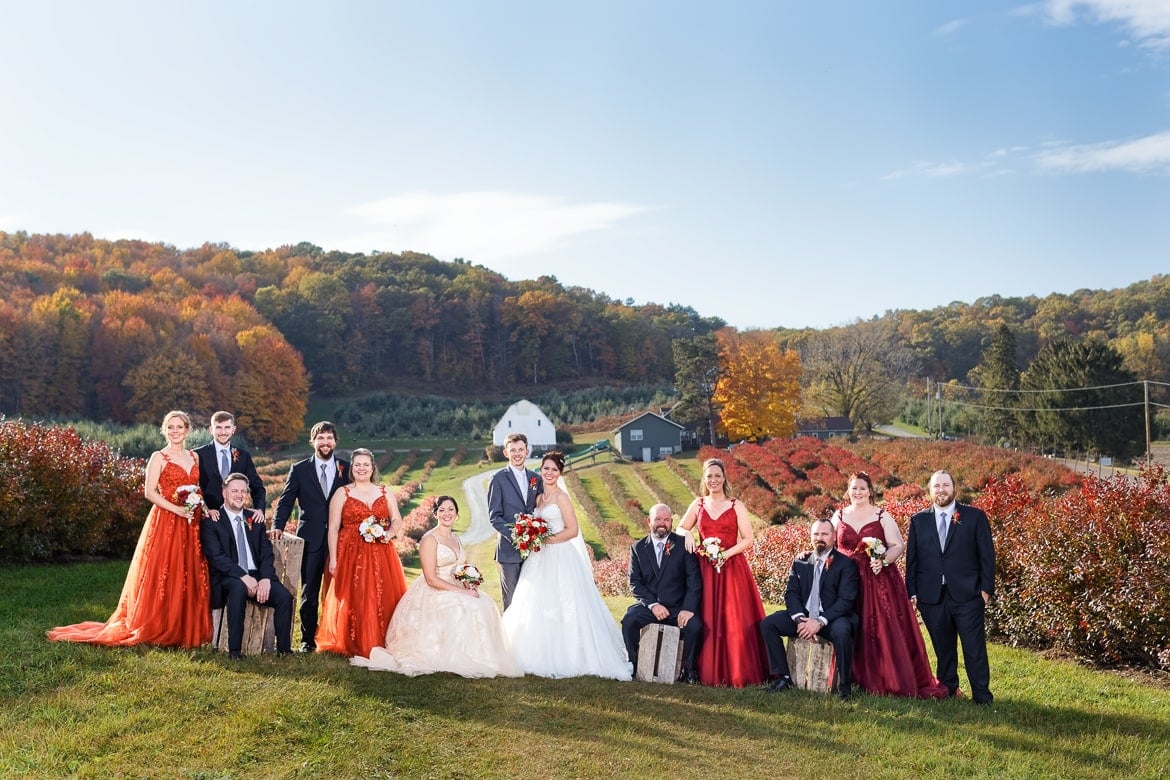 wedding party after retouch
