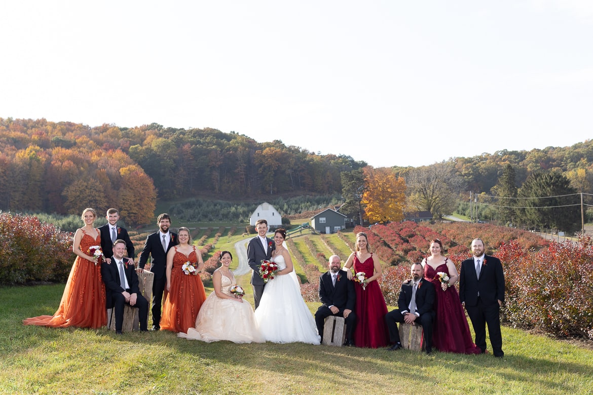 wedding party before retouch