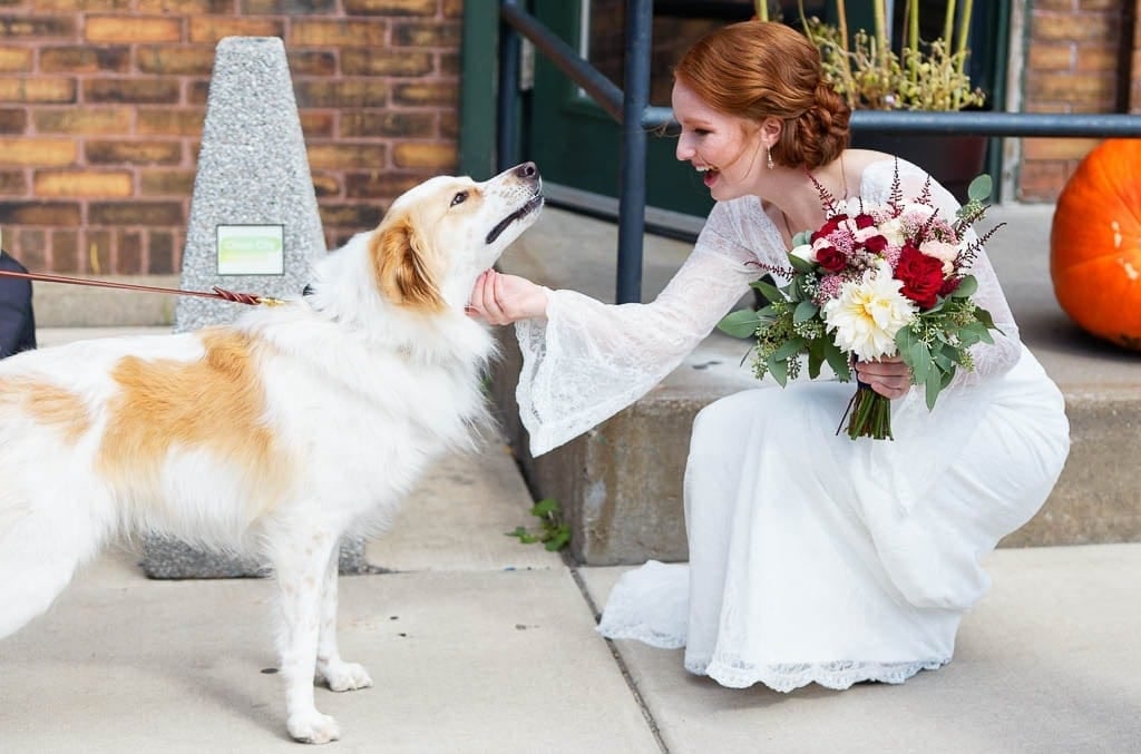 bride dog and florals