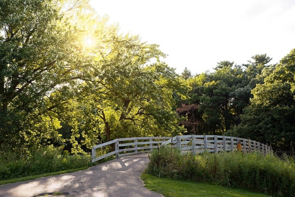 theodore wirth chalet