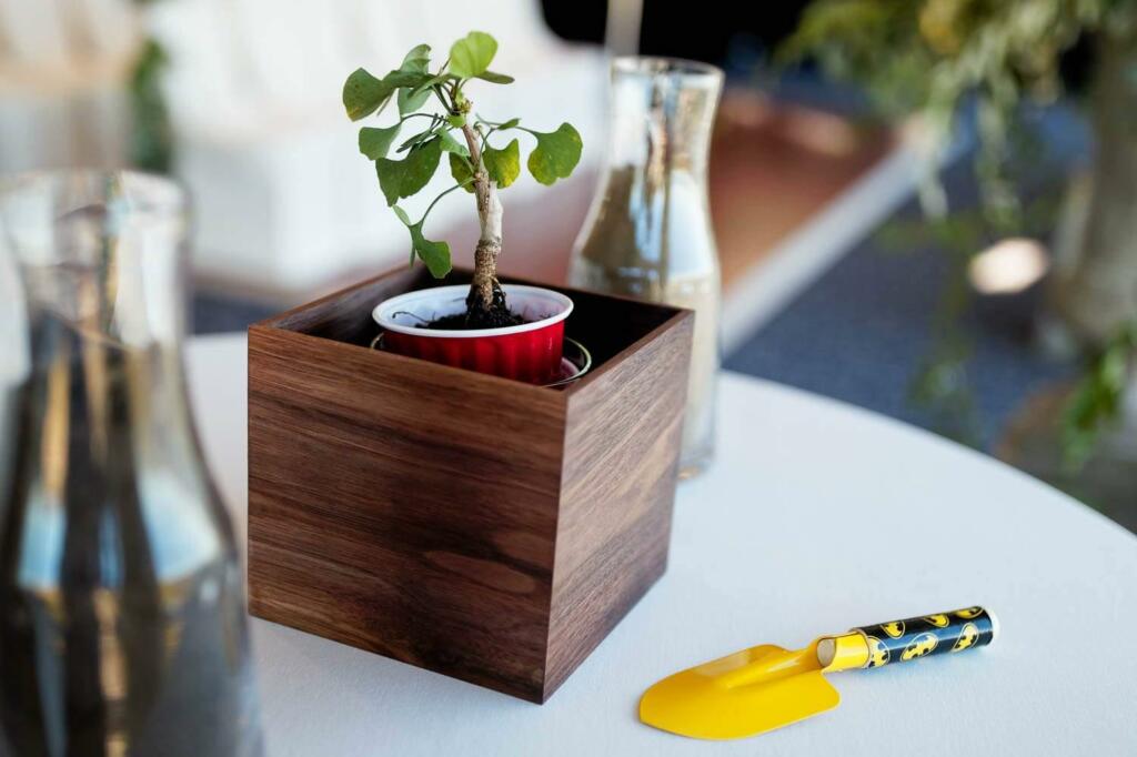 st james hotel red wing wedding photos