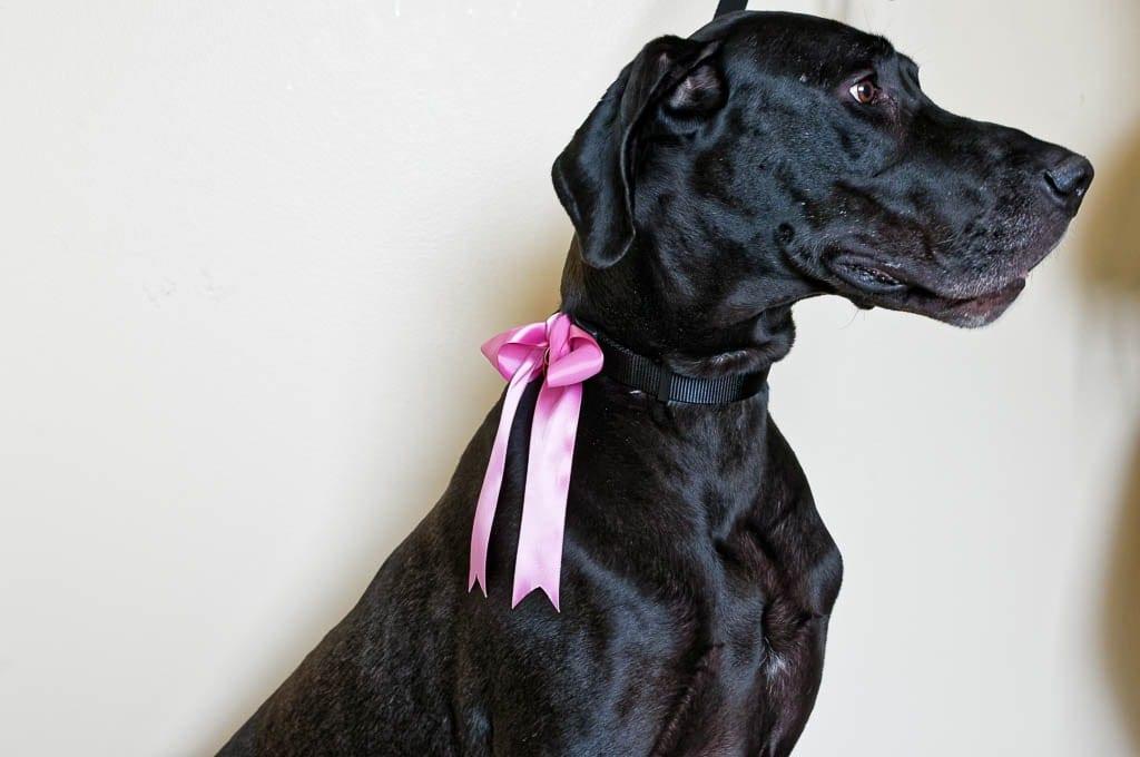 stillwater public library