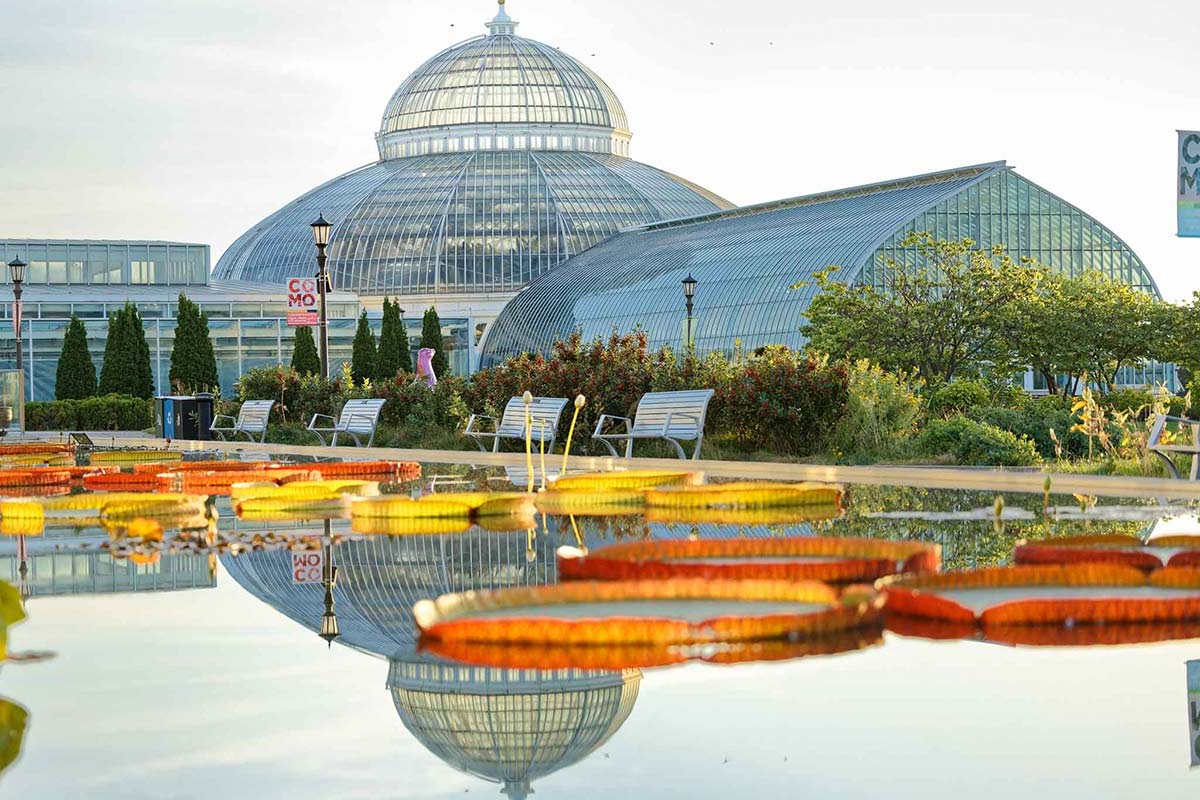 early morningat the como park