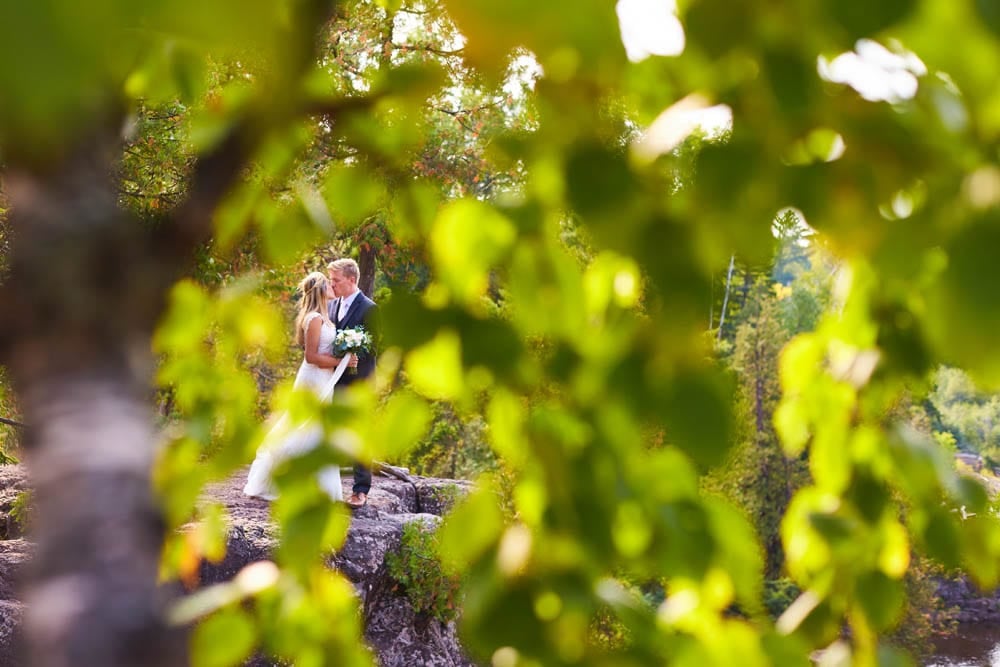 trash the dress dutluth