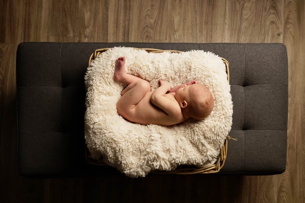 family photographer family photographer